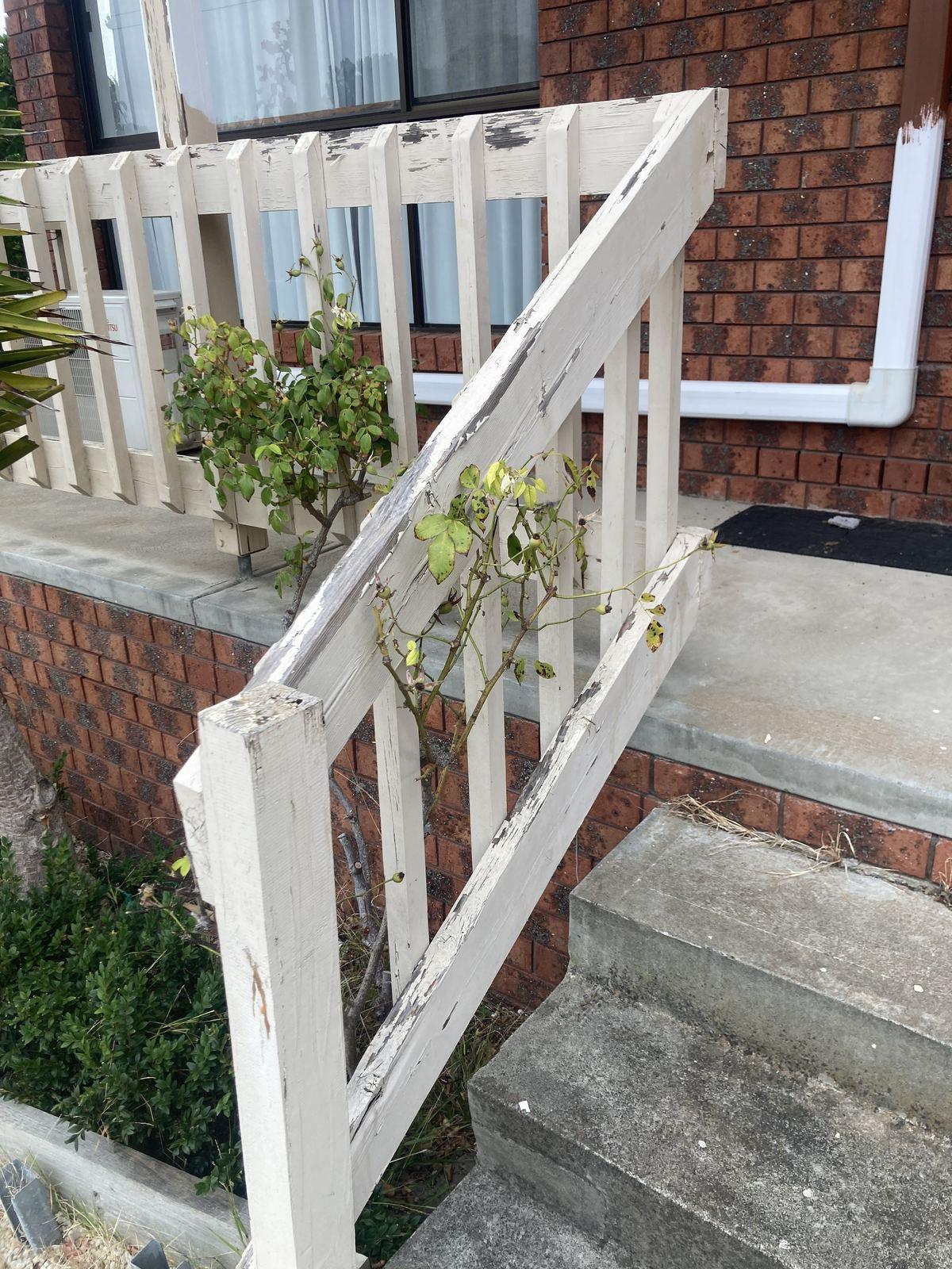 Decking in Merricks photo 54