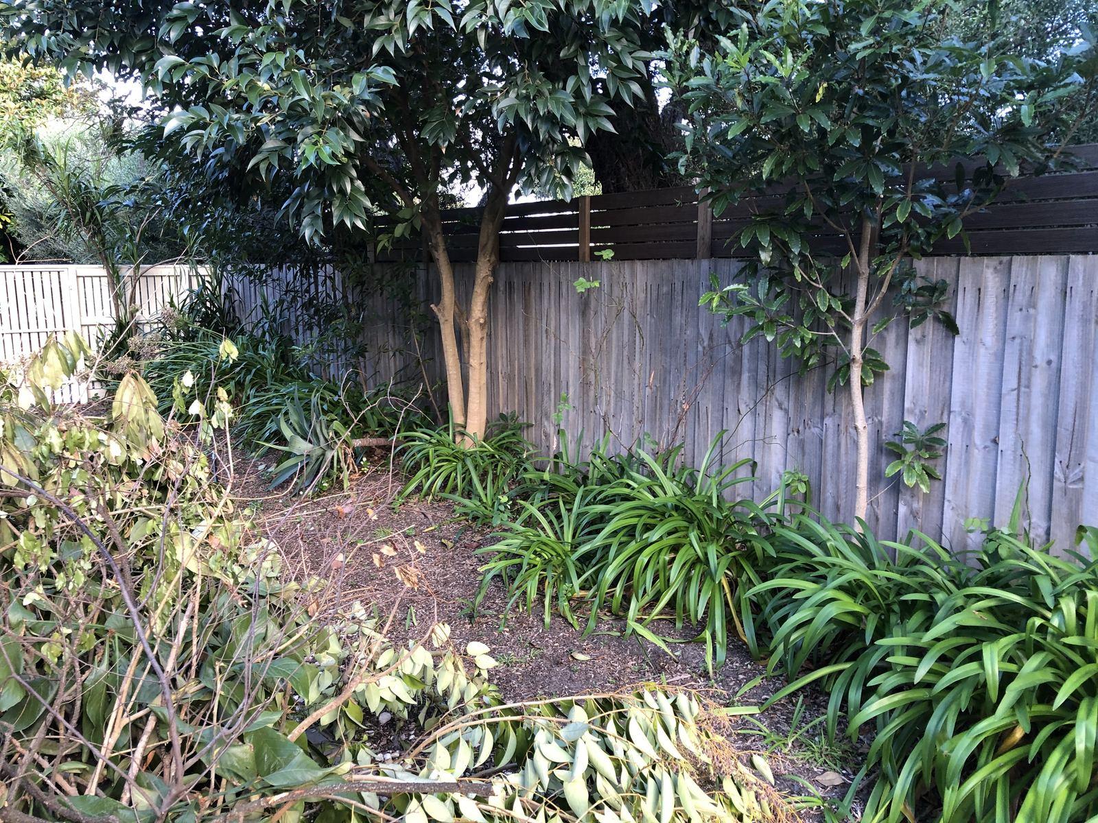 Fencing project in Rosebud