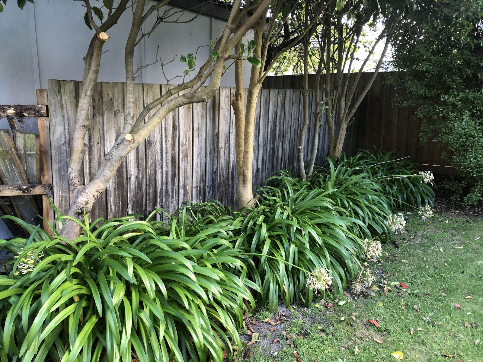 Fencing in Rosebud photo 3