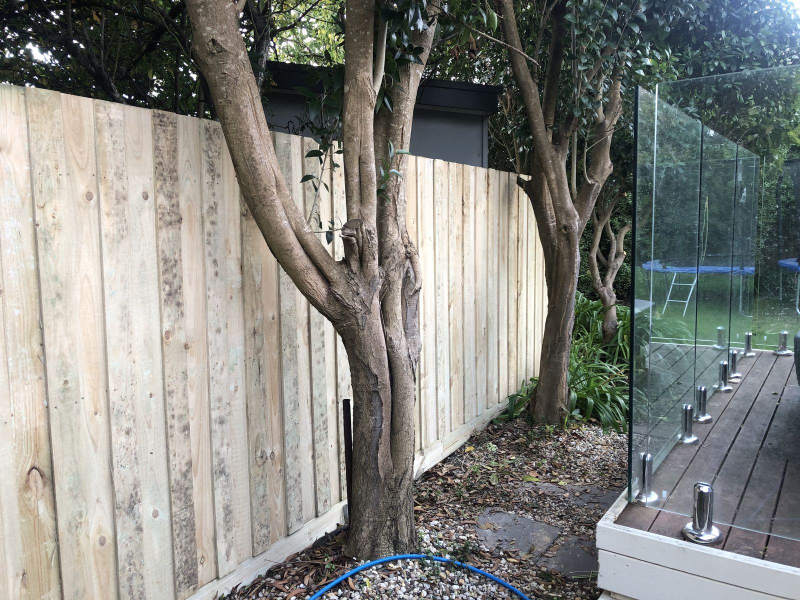 Fencing in Rosebud photo 6