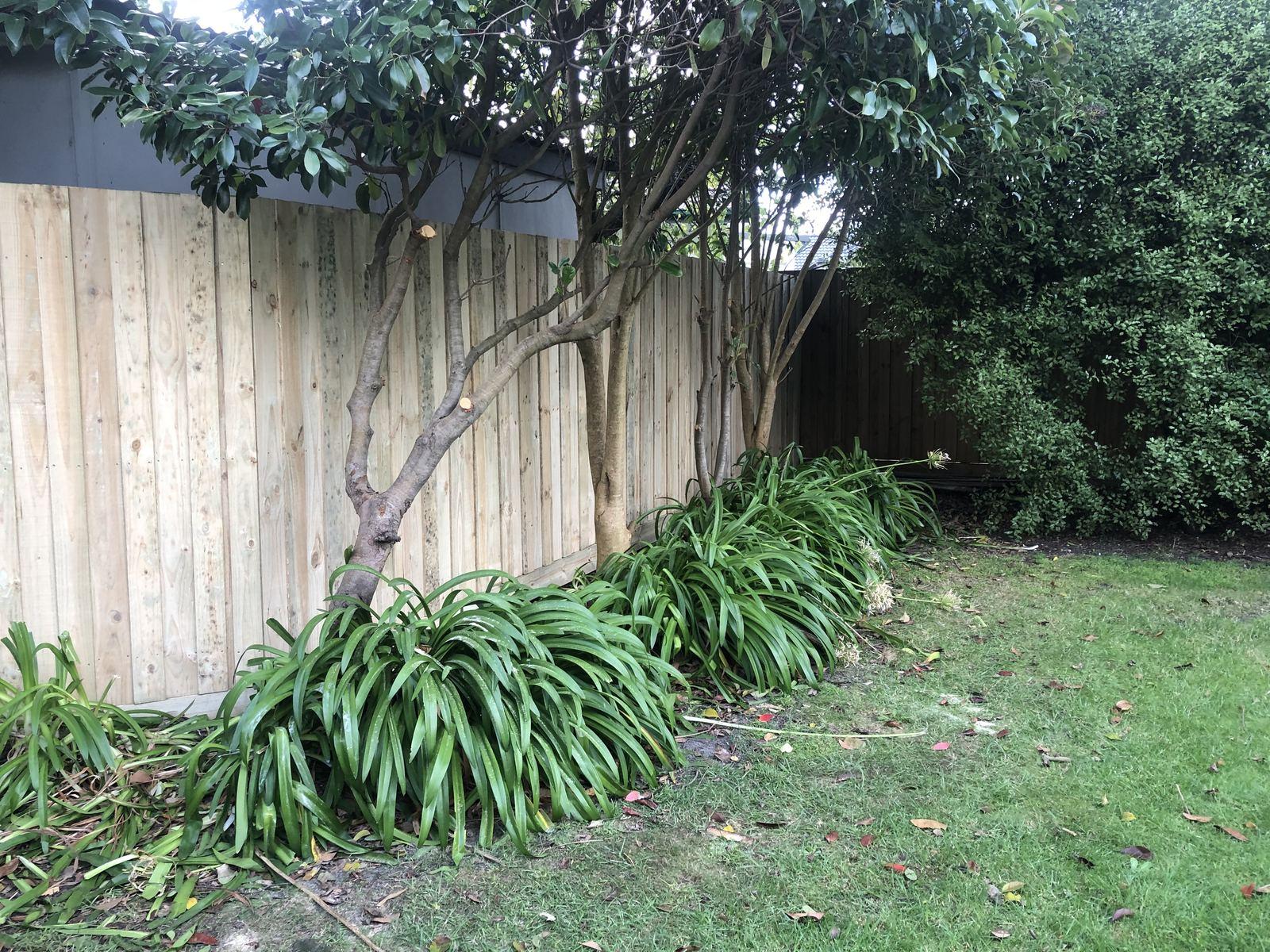 Fencing in Rosebud photo 7