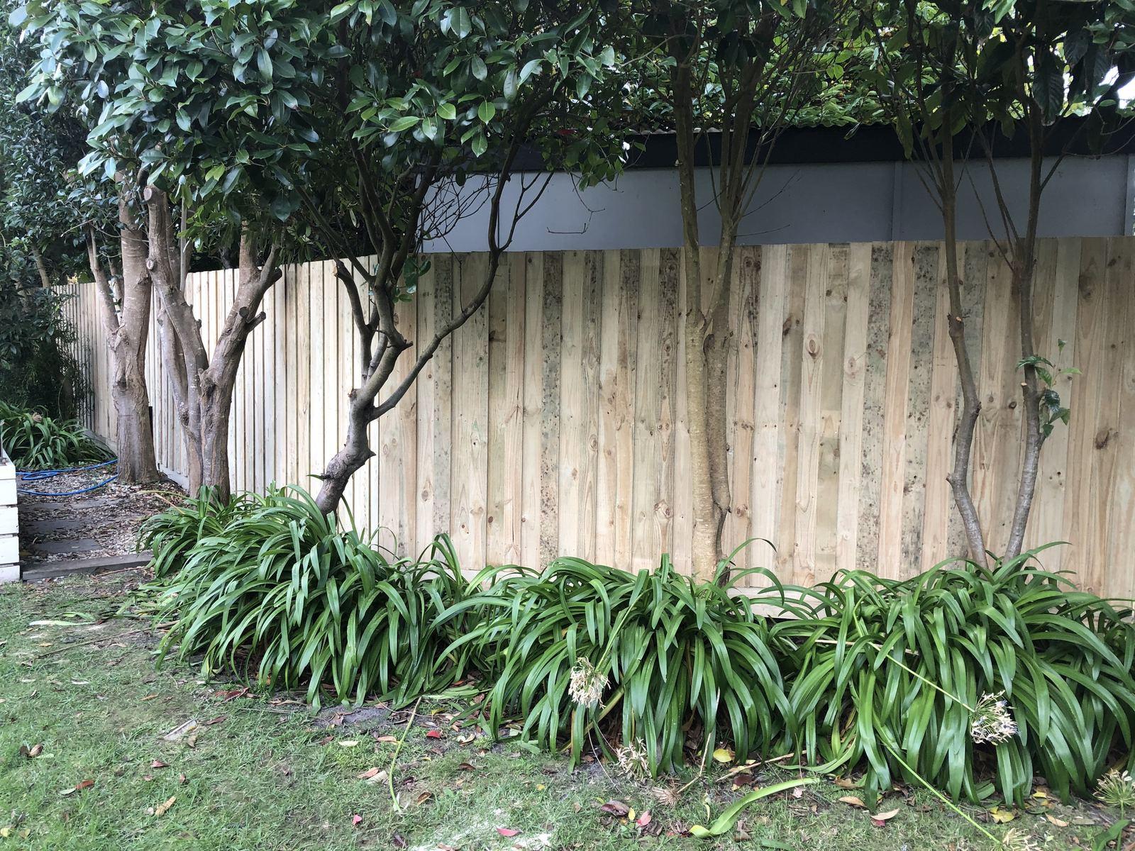 Fencing in Rosebud photo 8