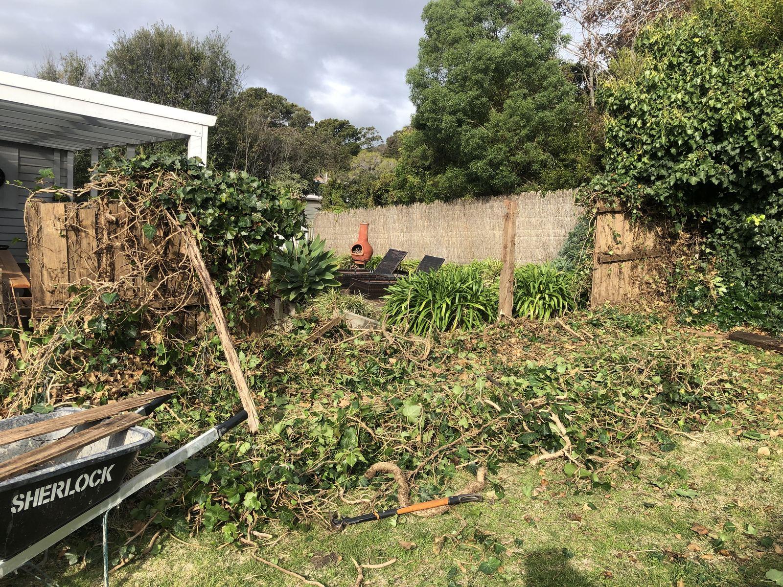 Fencing project in Rye