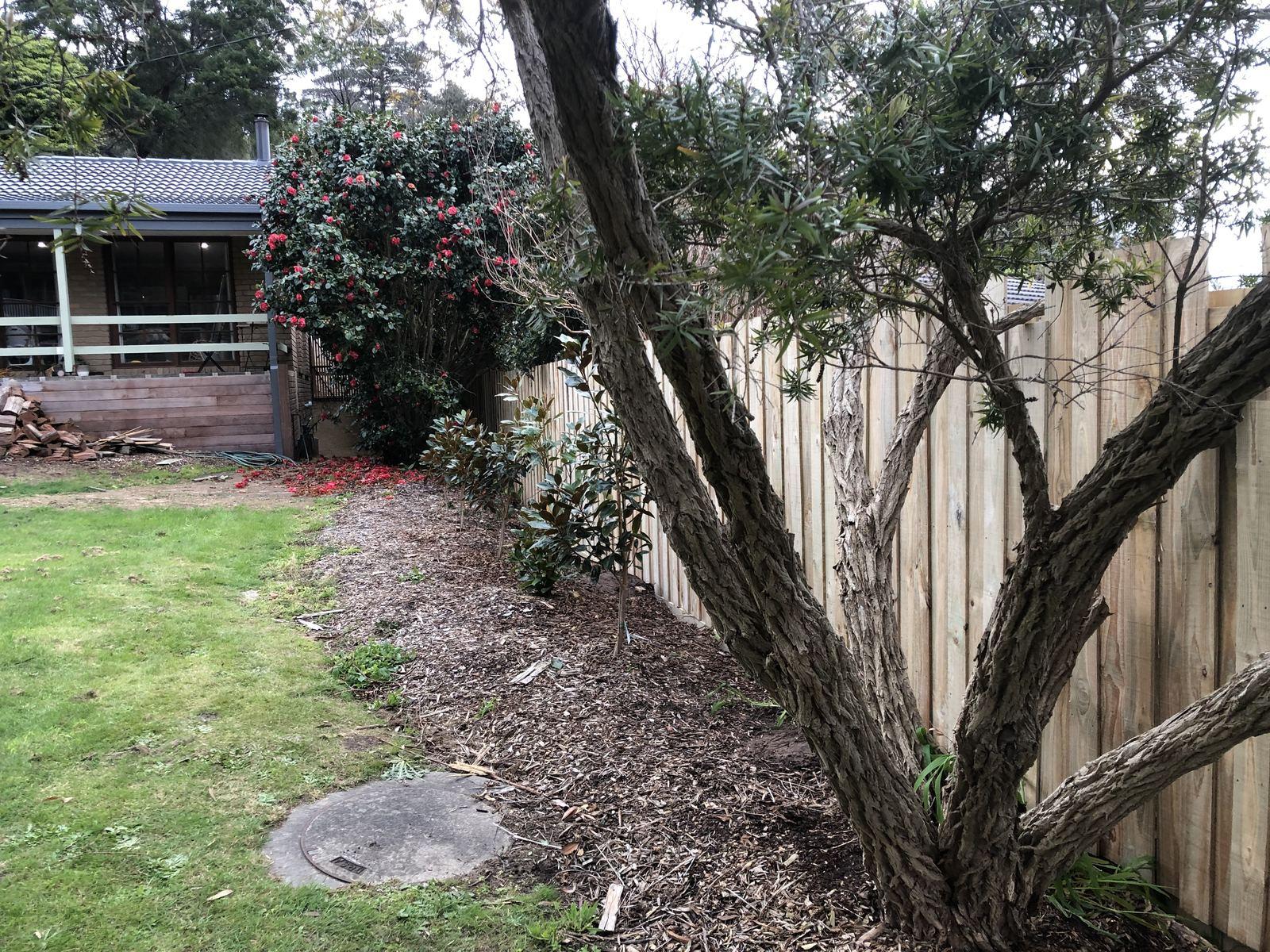 Fencing in Rye photo 19