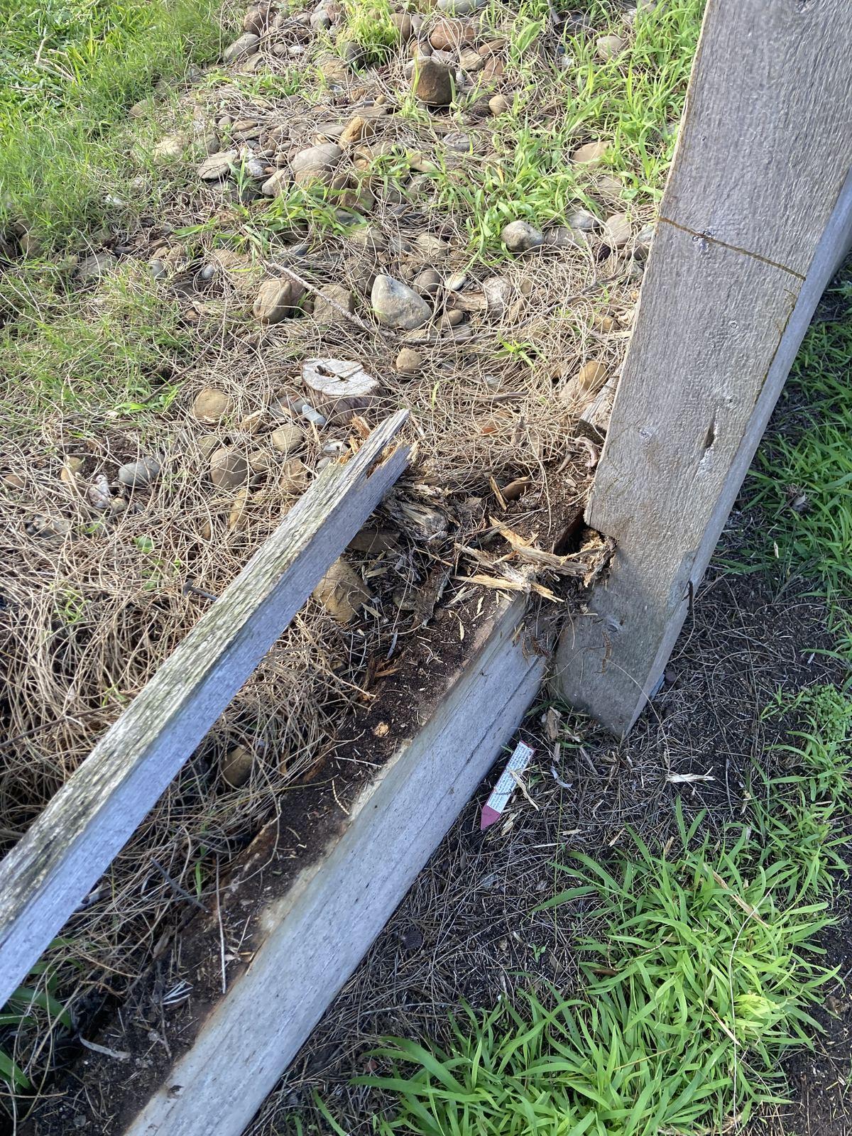 Fencing in Sorrento photo 39