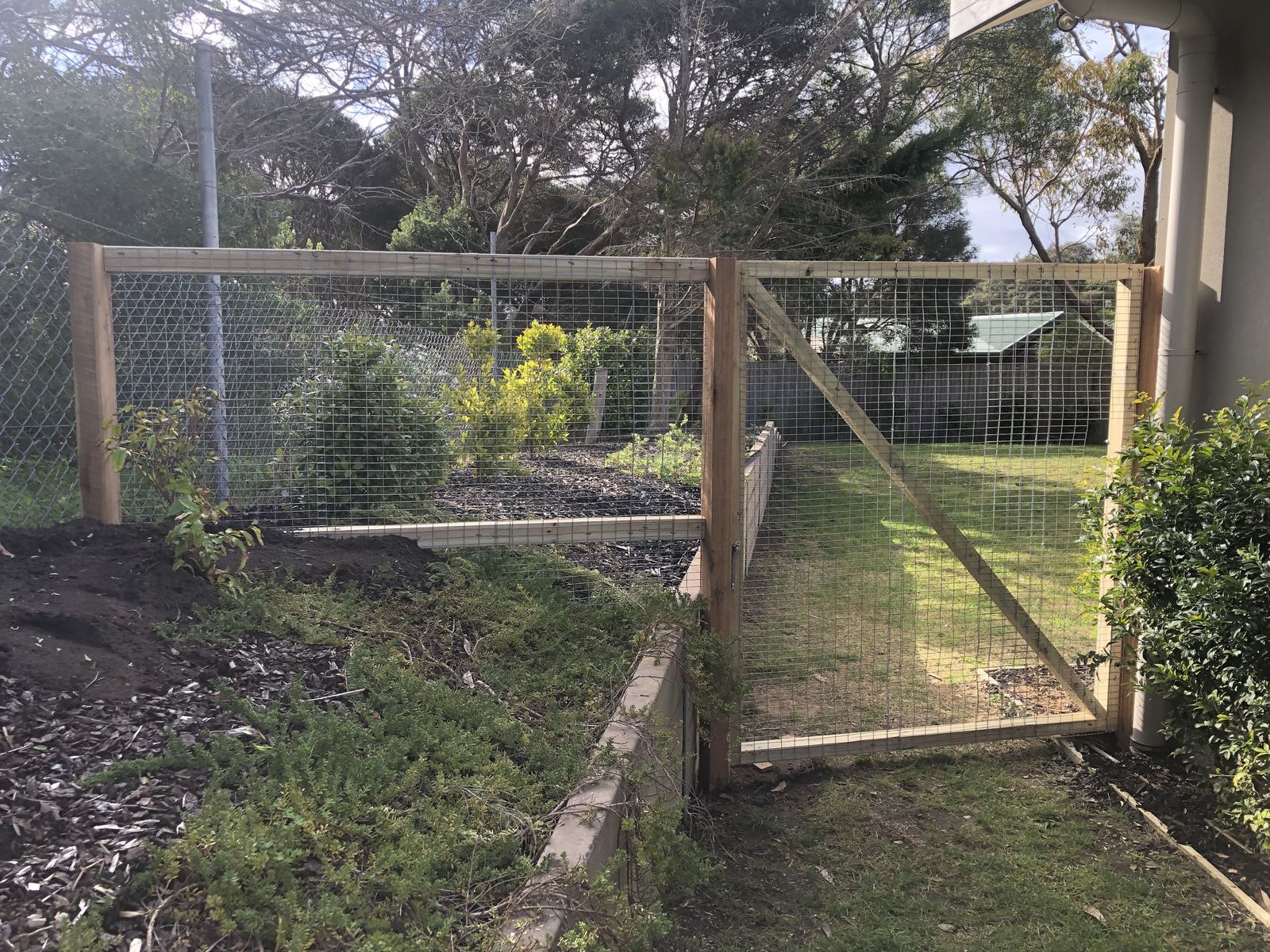 Fencing in Boneo photo 6