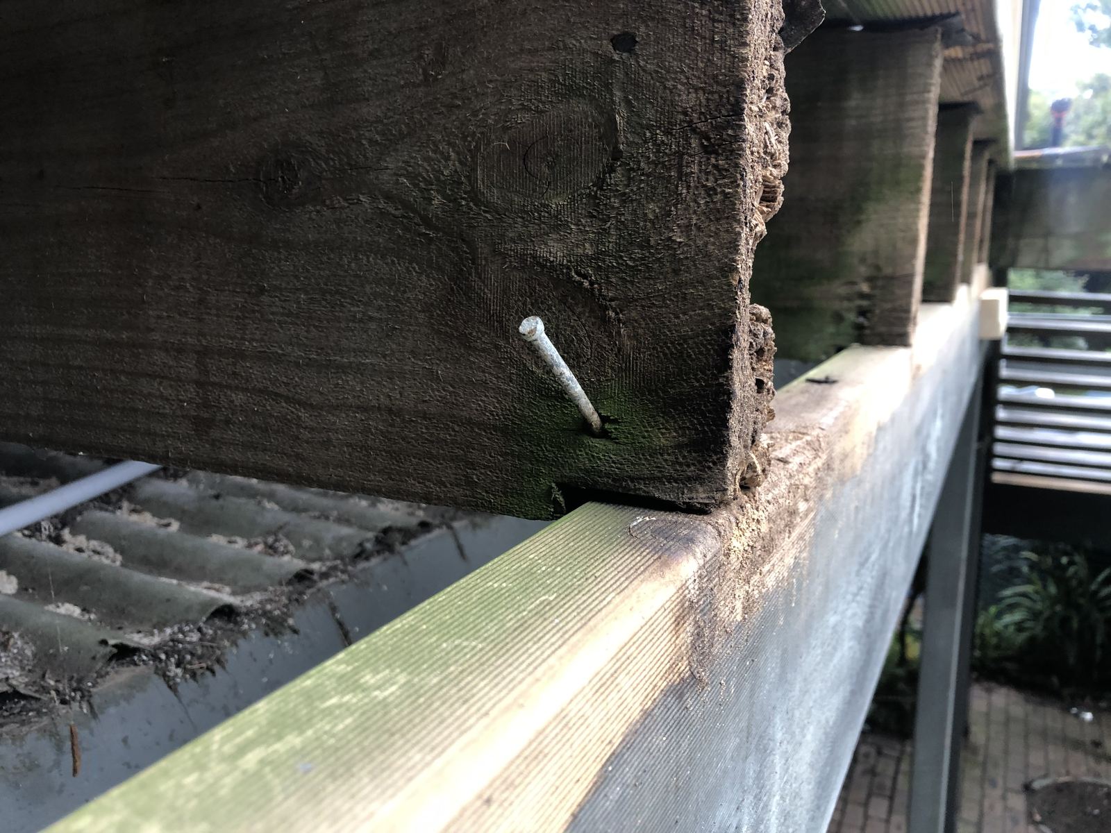 Decking in Merricks photo 27