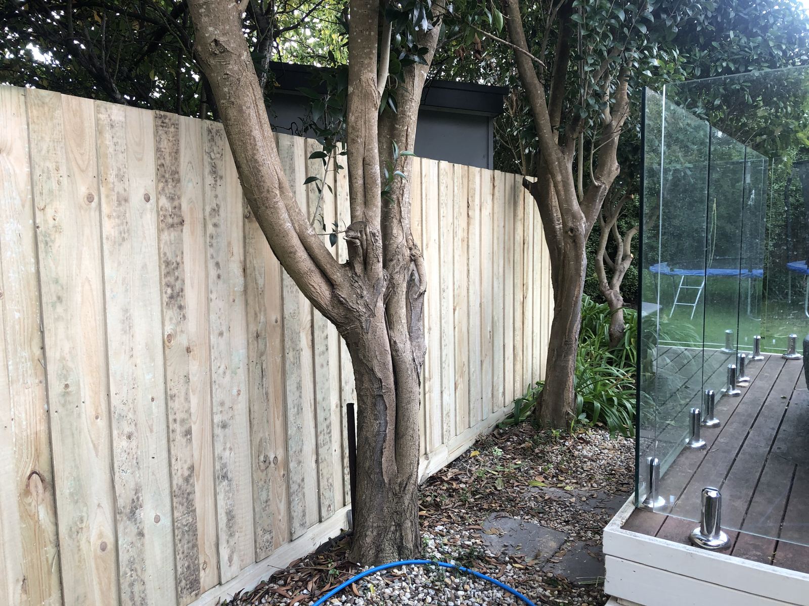Fencing in Rosebud photo 6