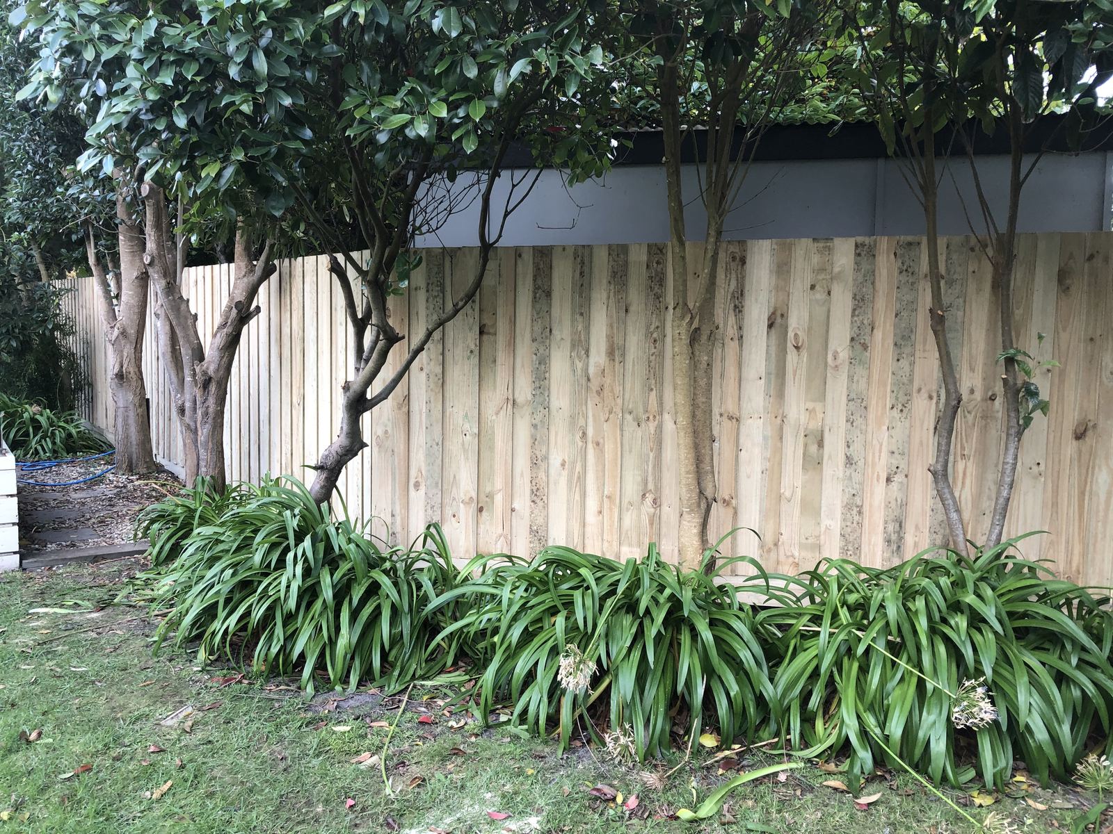 Fencing in Rosebud photo 8
